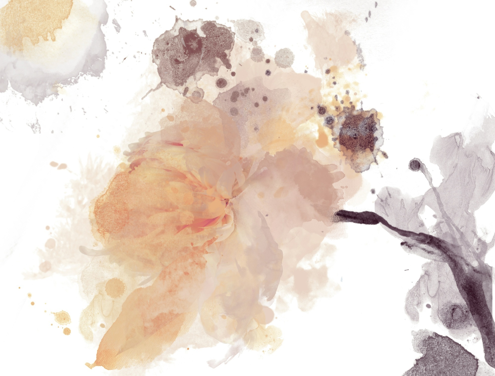 Open Imagination